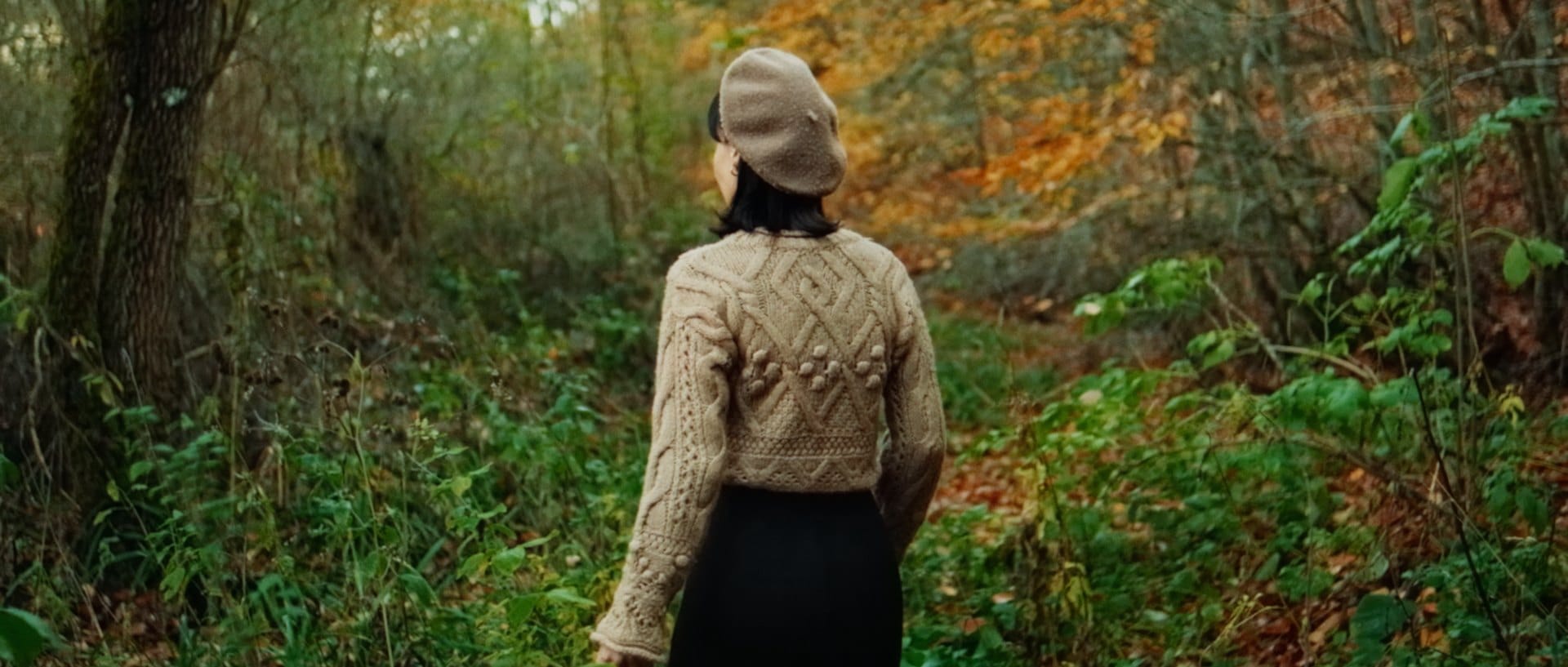 Forest, autumn — Nx 3‑Strip 3.0