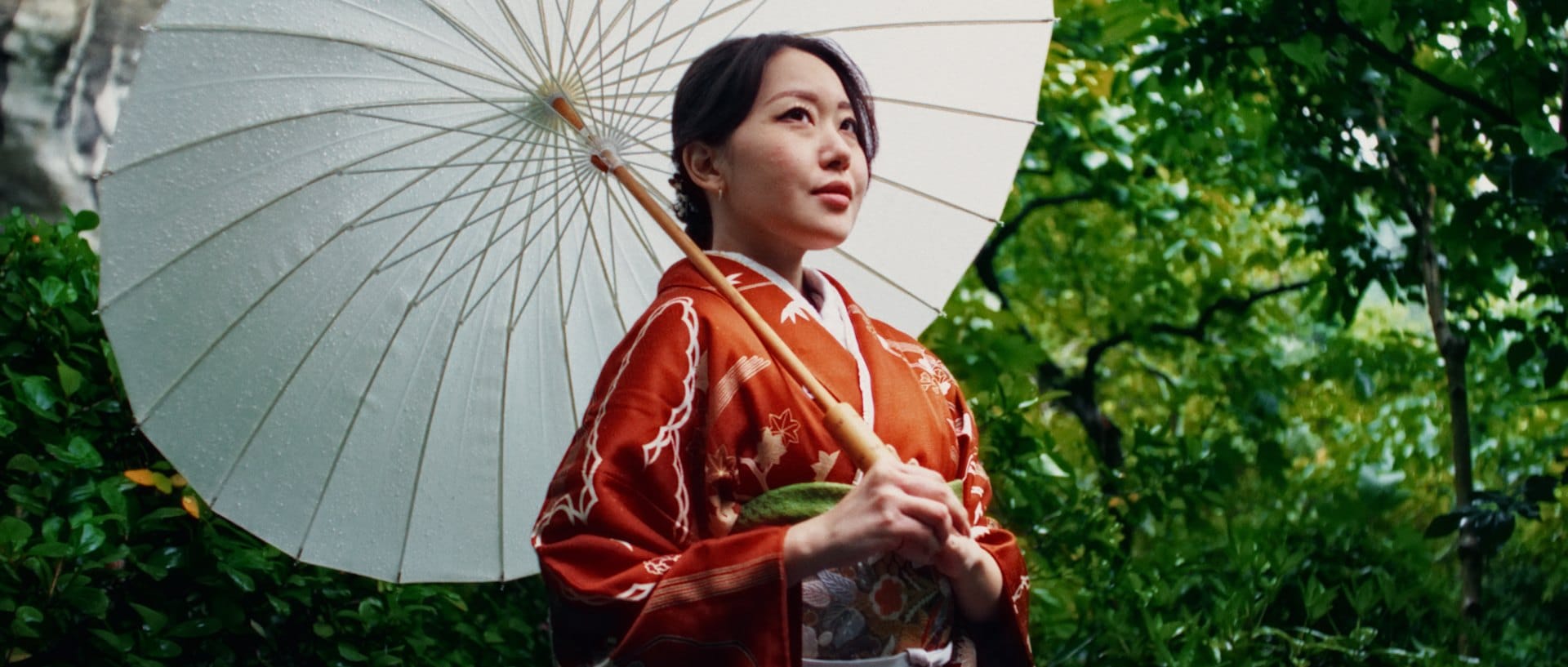 Kimono, foliage — Nx 3‑Strip 3.0