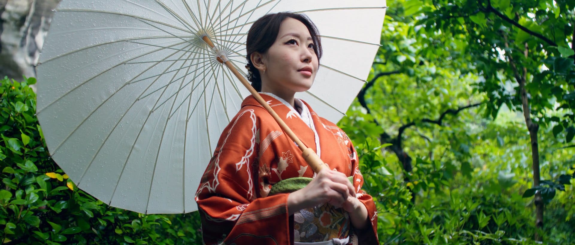 Kimono, foliage — Source